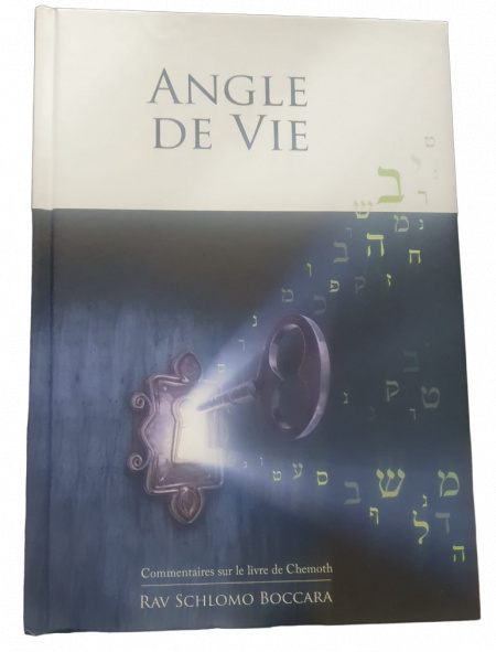 ANGLE DE VIE COMMENTAIRES SUR LE LIVRE DE CHEMOT