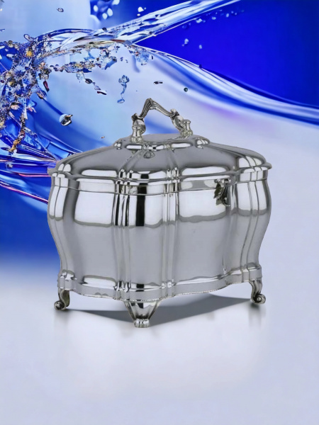 COFFRET ETROG EN ARGENT PUR : 925 ARGENT STERLING 