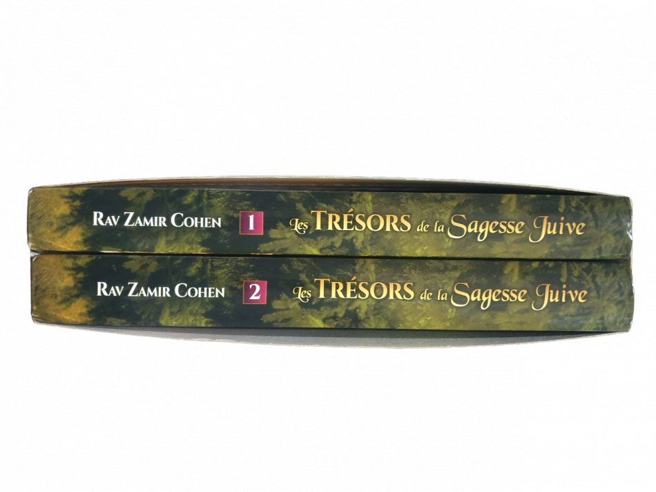 LES TRESORS DE LA SAGESSE JUIVE